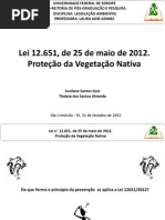 Apresentação_Lei12651