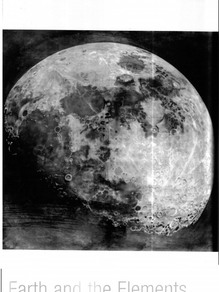 Sarah Simblet Sketch Book Fo The Artist 4 PDF Composition