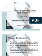 Módulo I Sistemas Penales Procesales - PPT (Modo de Compatibilidad) PDF