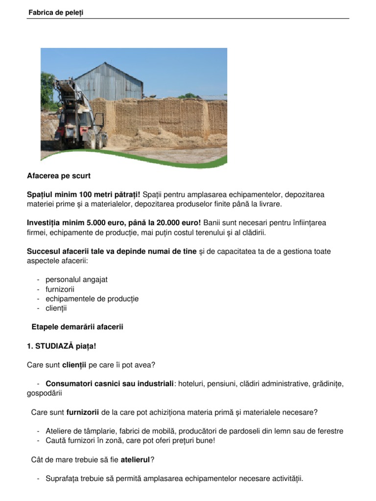 Business plan fabrica de peleti 08 picture