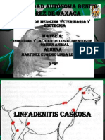 Linfoadenitis Caseosa