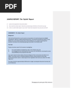 Sample Report Assignment
