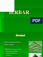 IERBAR