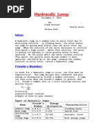 Hydraulic Jump