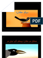 clever crow- sindhi story for children سياڻو ڪانءُ