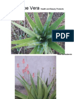 Download Unik Aloe Vera PP Presentation by TAMBAKI EDMOND SN13378835 doc pdf