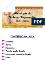 Aula Histologia Sistema Tegumentar