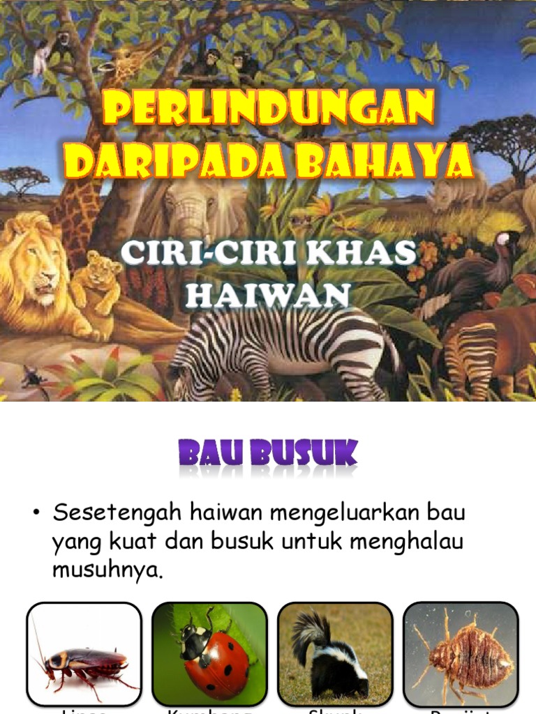 Ciri Ciri Khas Haiwan Melindungi Diri Daripada Musuh Pdf