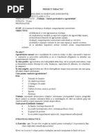 Educatie Muzicala Viiia Planificare