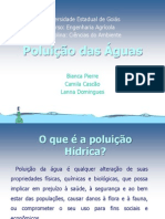 Poluição das águas.pptx