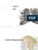 Regulación de La Respiración