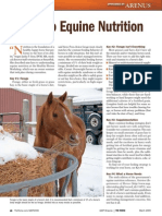 9 Keys To Equine Nutrition