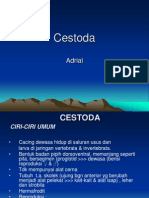 Cestoda