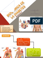 Bioquímica de La Diabetes