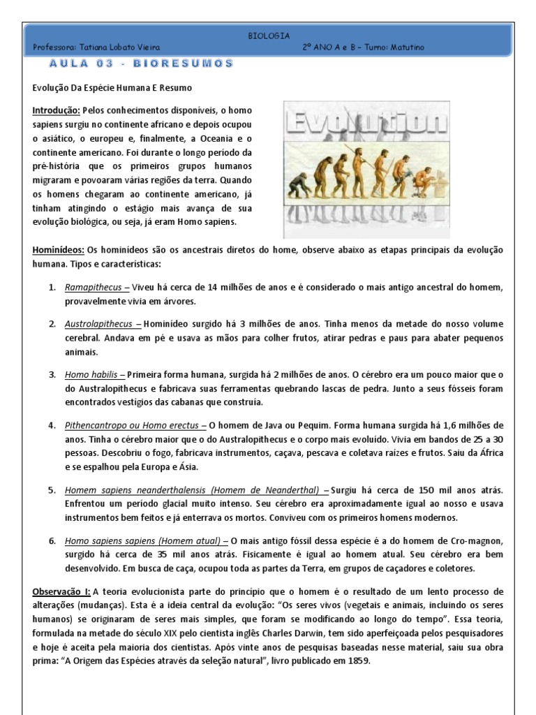 COMO ACONTECEU A EVOLUÇÃO HUMANA | Ideias Fora da Caixa, image size:768x1024