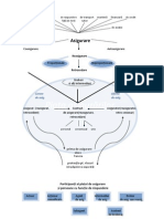 Schema Asigurare