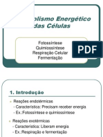 Metabolismo Energético Das Células