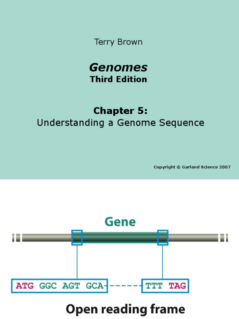 Genomes: Understanding A Genome Sequence | PDF | Wellness | Science ...