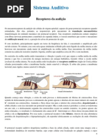 NEURO Sistema Auditivo Zago