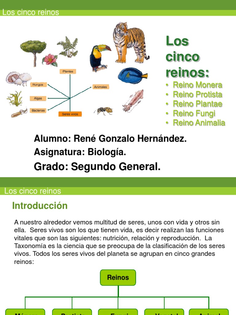 Los cinco reinos.ppt Plantas Organismos