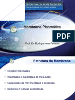 Membrana Plasmática