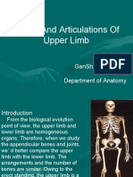 3rd-Bones and Articulartions of the Upper Limb (New File)1 (2)