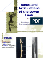 4th-Bones and Articulations of the Lower Limb