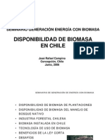 SeminarioBiomasaFINPRO LIGNUM PDF