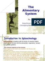 7th-The Alimentary System