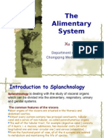 7th-The Alimentary System (2)