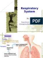 8th Respiratory System