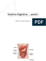 Sistema Digestivo 1