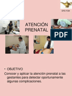 Atención Prenatal 2010