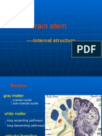 Brain Stem: - Internal Structure