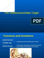 The Vestibulocochlear Organ