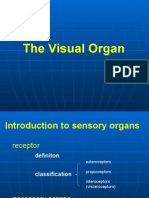 The Visual Organ