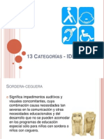 13 Categorías - IDEA