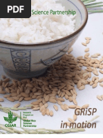 Download GRiSP in motion by International Rice Research Institute SN133968887 doc pdf