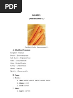 Download Buku Wortel by Handz SUPERNERS SN133971032 doc pdf