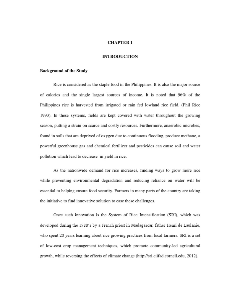 my dream job essay accountant force