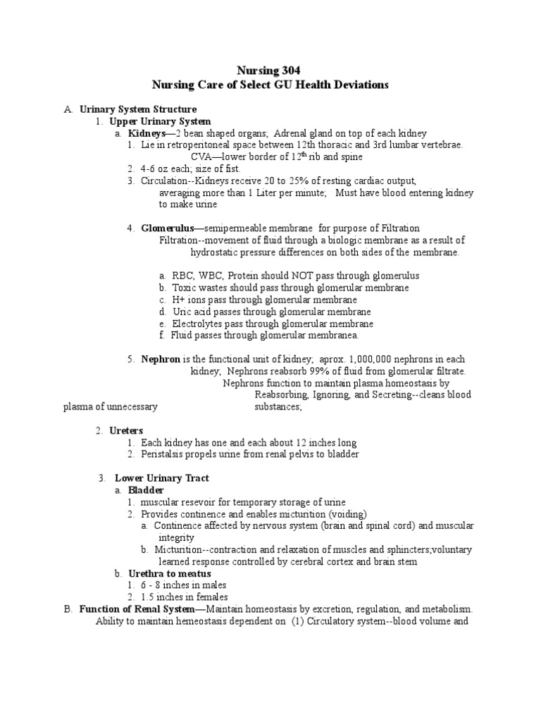 GU Blackboard Outline | PDF | Kidney | Urinary System