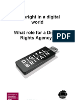 Copyright in A Digital World. What Role For A Digital Rights Agency?