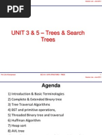 Unit 3&5 Trees