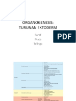 Turunan Ektoderm