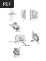 Valkoinen ja musta suku puolen tarinoita