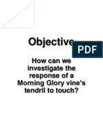 Objective: How Can We Investigate The Response of A Morning Glory Vine's Tendril To Touch?