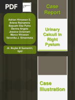 Download Presentasi Kasus Batu Pyelum Kananpptx by Adrian Himawan Singgih SN133999597 doc pdf