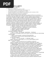 Model de Cerere de Oferta