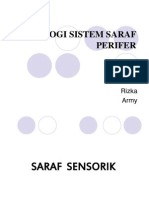 Fisiologi Sistem Saraf Perifer