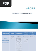 Trabalho de Algas